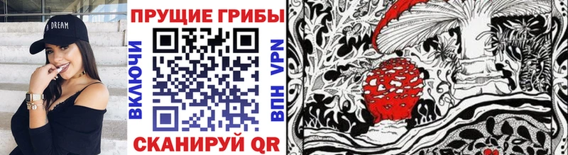 Галлюциногенные грибы прущие грибы  Новое Девяткино 