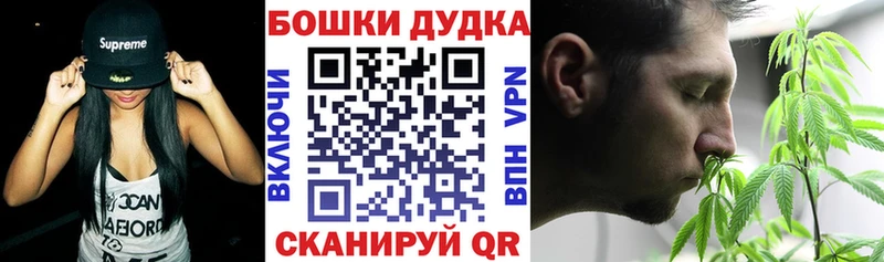 Бошки марихуана ГИДРОПОН  darknet Telegram  Новое Девяткино  купить наркотики сайты  kraken ссылки 